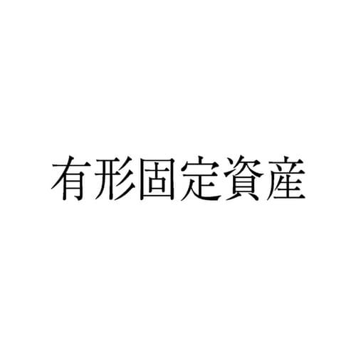 勘定科目印 単品 有形固定資産×20