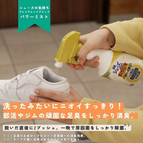 シューズの気持ちハイブリッドPミスト×20