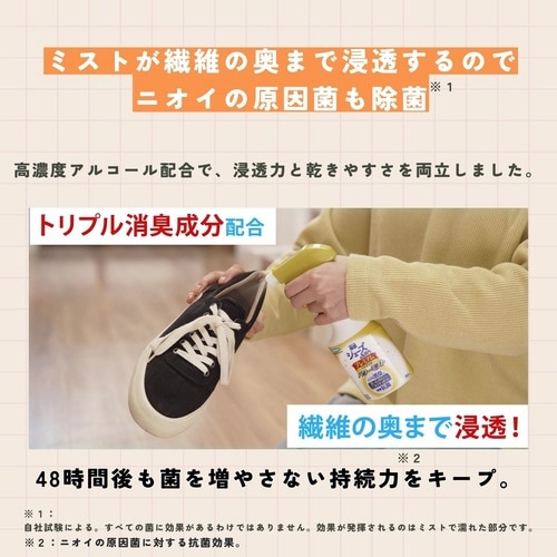 シューズの気持ちハイブリッドPミスト×20