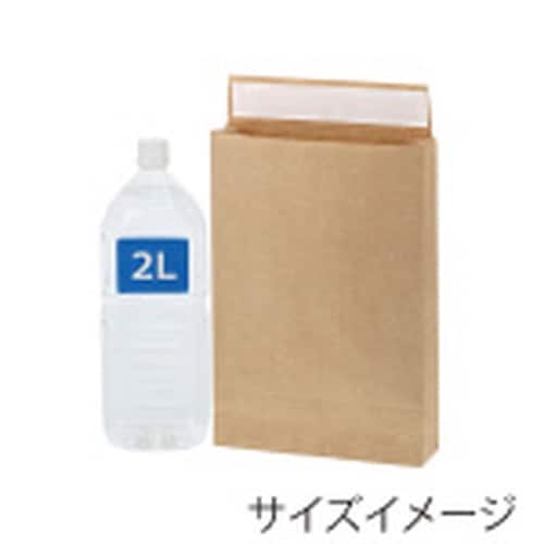 宅配袋 Eタイプ SS 未晒無地 50枚×3