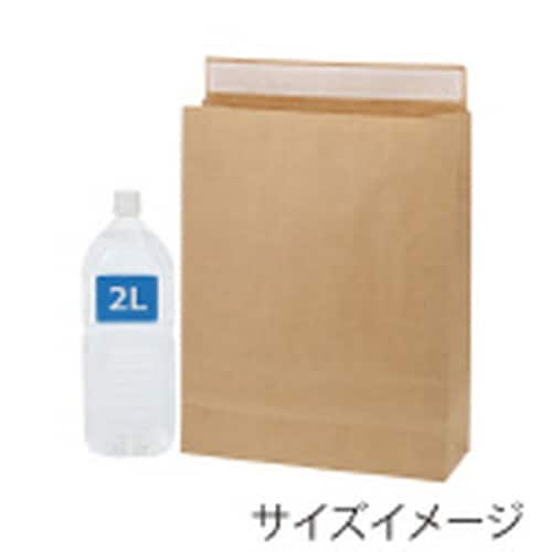 宅配袋 Eタイプ L 未晒無地 50枚×3