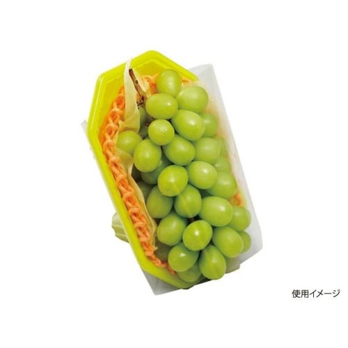 フルーツ容器 FRプラスL グリーン チューパ×8