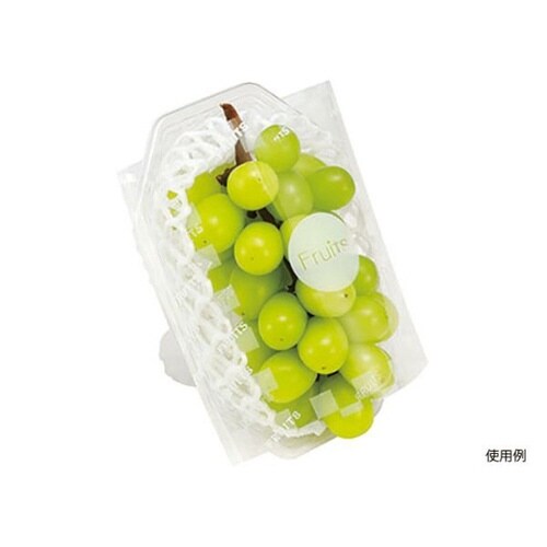 フルーツ容器フルーツトレーFRプラスM透明×10