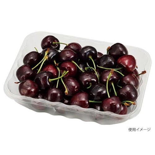 フルーツ容器 VF−X1813 AP 透明×12