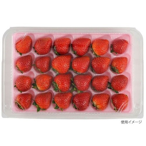 フルーツ容器 STR−GHP.8H チューパ×6