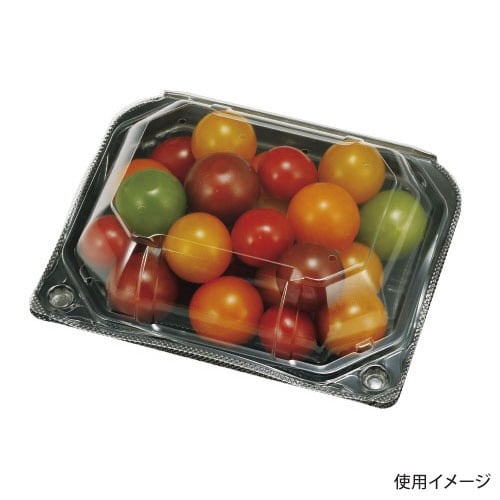 フルーツ容器PSクリアルーフM10HBLW×9