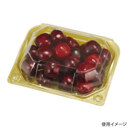 フルーツ容器PSクリアルーフM10HGLW×9
