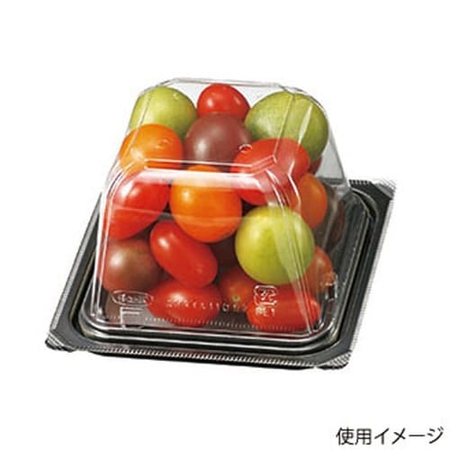 VF−APダイス 110角 本体.4H(R)×20