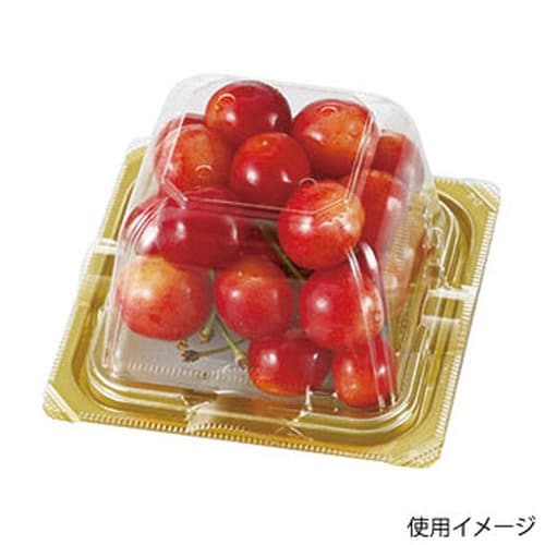 VF−APダイス 105角D 本体.4H×30