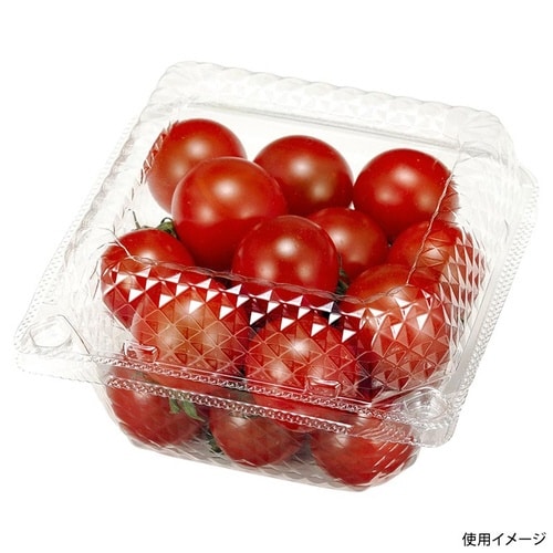 フルーツ容器 ペコペット10−10(62)×15