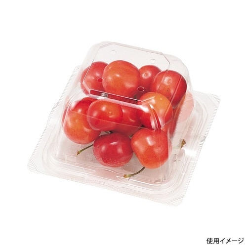 エコ VF−APダイス105角D 本体.4H×30