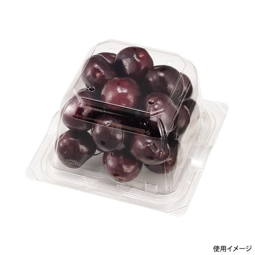 エコ VF−APダイス110角D 本体.4H×20