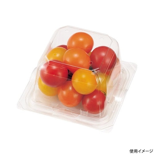 エコ VF−APダイス110角D 本体.4H×20