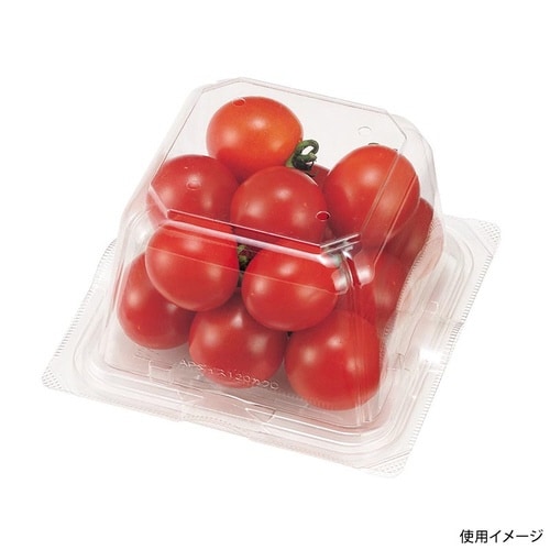エコ VF−APダイス120角D 本体.4H×16