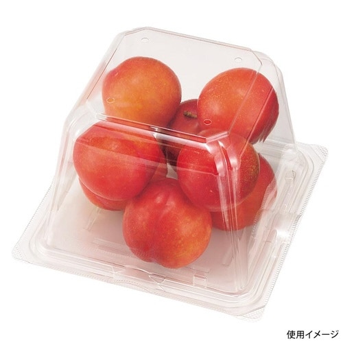 エコ VF−APダイス150角D 本体.4H×12