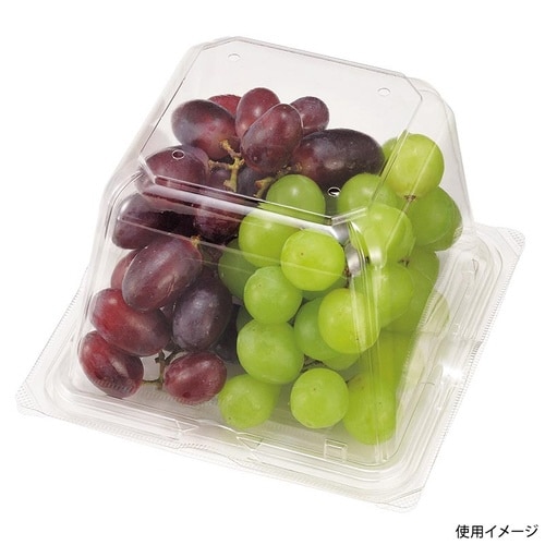 エコ VF−APダイス150角D 本体.4H×12