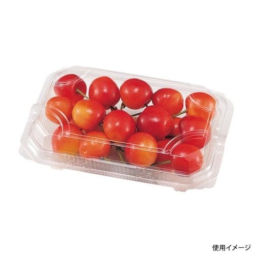 フルーツ容器エコMT−120APチューパ×24