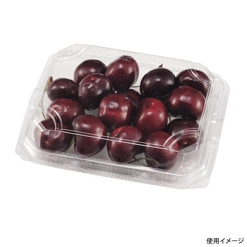 フルーツ容器エコMT−150APチューパ×18