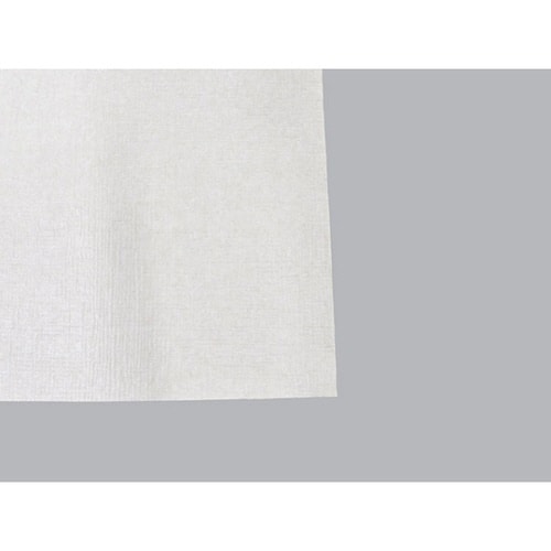 紙エプロン 大 L−2 オリエンタル紙業×10