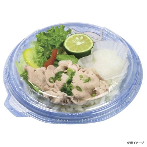 TPライトボウル−195本体E 和紙青×24