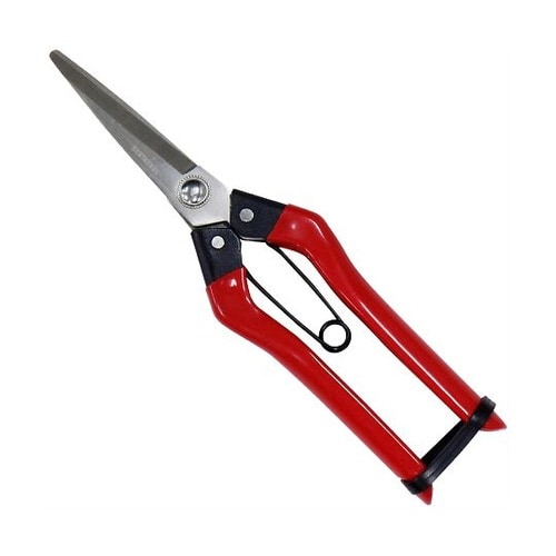 ステンレス青果鋏