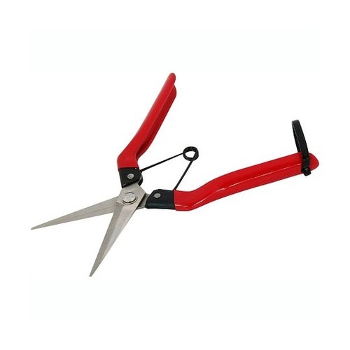 ステンレス青果鋏