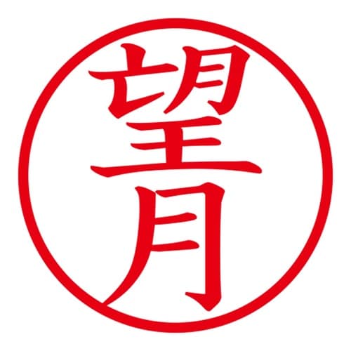 印鑑 ネーム印 ネームキューブ ブラック 望月
