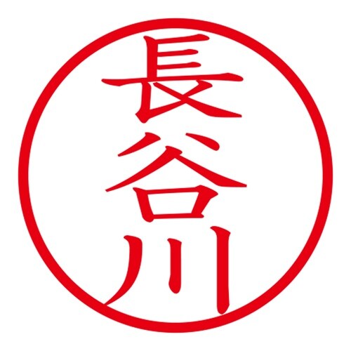 印鑑 ネーム印 ネームキューブ ホワイト 長谷川