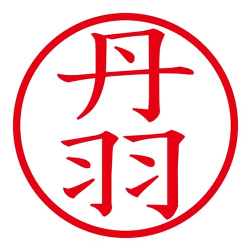 印鑑 ネーム印 ネームキューブ グリーン 丹羽