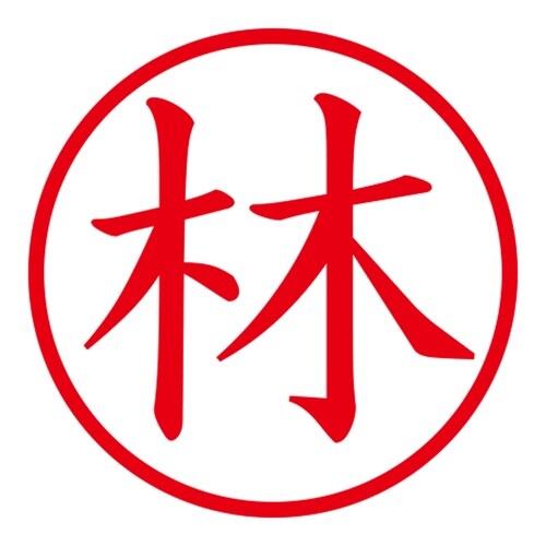 印鑑 ネーム印 ネームキューブ グリーン 林