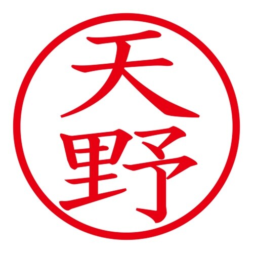 印鑑 ネーム印 ネームキューブ ピンク 天野