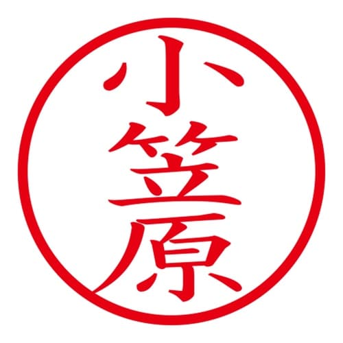 印鑑 ネーム印 ネームキューブ ブルー 小笠原