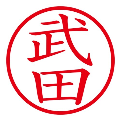 印鑑 ネーム印 ネームキューブ ブルー 武田