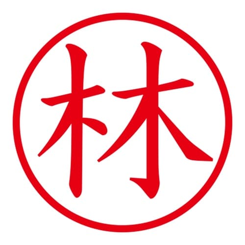 印鑑 ネーム印 ネームキューブ ブルー 林