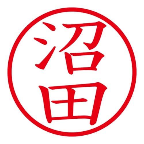 印鑑 ネーム印 ネームキューブ ピンク 沼田