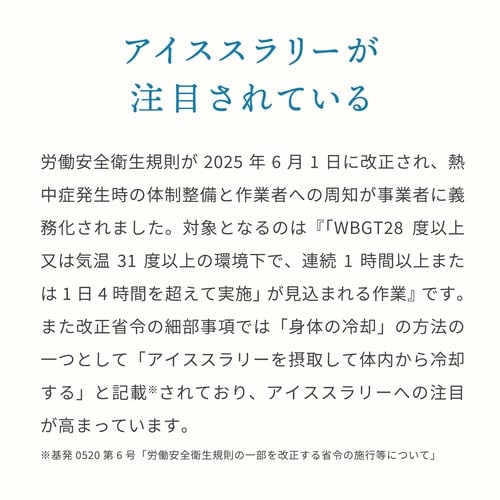 熱中対策水アイススラリー サイダー味 120g