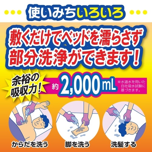 サルバ超吸水マット 10枚