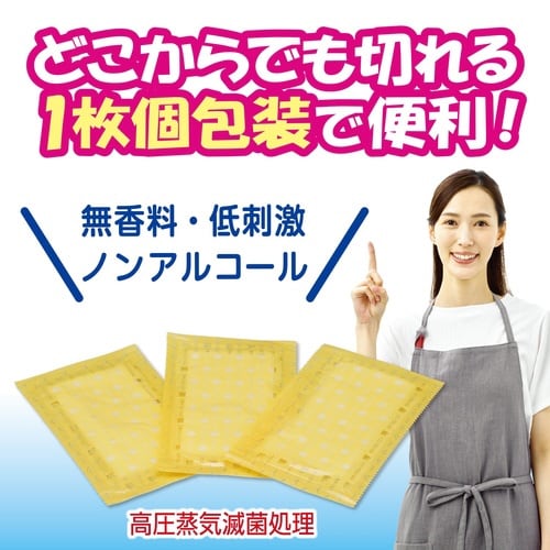 FC 清浄綿AII(滅菌済) 100包入