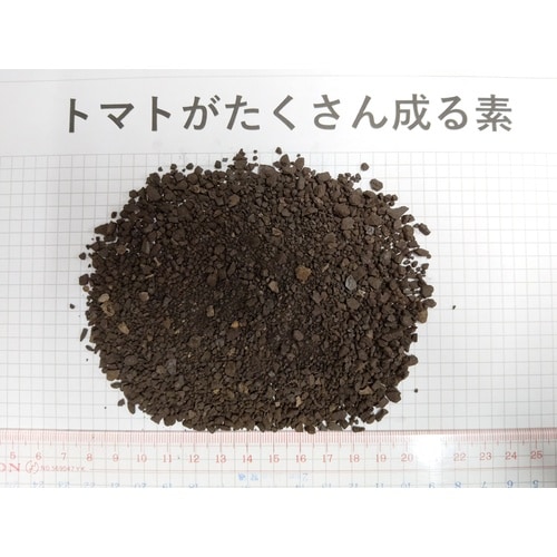 トマトがたくさん成る素150g
