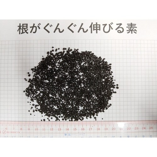 根がぐんぐん伸びる素500g