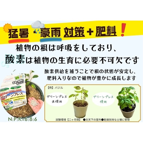 グリーンブレス酸素剤入り野菜の肥料 500g