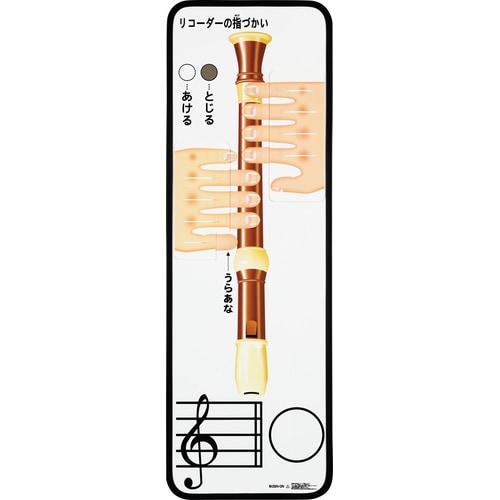 リコーダー指づかいカラーボードZCB−50