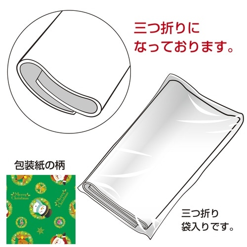 包装紙 リースサンタ緑 半才判