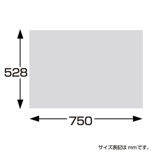 包装紙 リースサンタ緑 半才判