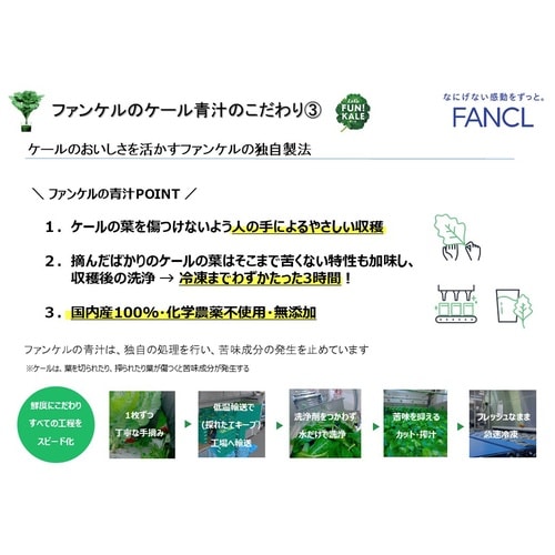 ファンケル 搾りたてケール青汁 7袋 700g×3