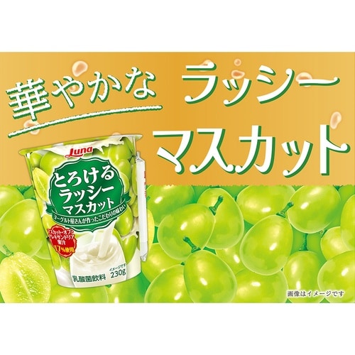 日本ルナ とろけるラッシー マスカット 230g×