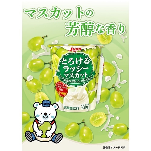 日本ルナ とろけるラッシー マスカット 230g×