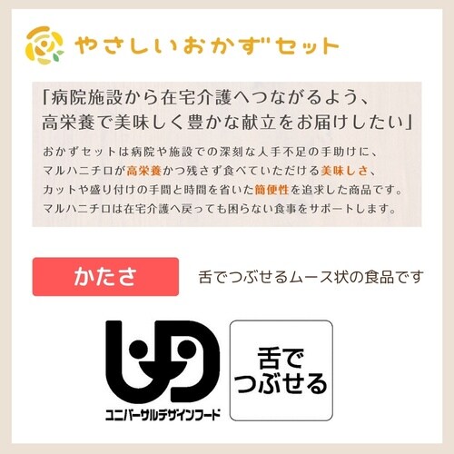 マルハニチロ やさしいおかずセット昼・夜のムース食