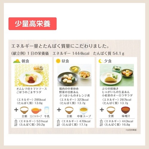 マルハニチロ やさしいおかずセット昼・夜のムース食