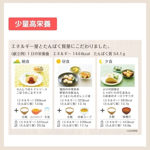 マルハニチロ やさしいおかずセット昼・夜のムース食